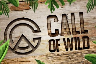 You are currently viewing Call off Wild